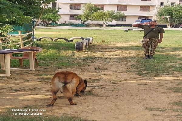 Dog Refresher Course At 08 Bn